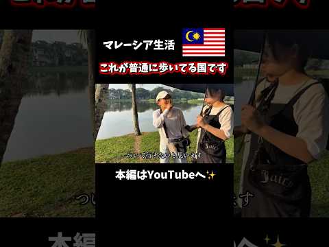 【驚愕】マレーシアの巨大トカゲが想像以上だった😱💦本編はYouTubeへ✨ #マレーシア留学 #マレーシア #アツアツなべチャンネル #fyp #shorts
