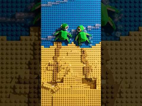 video screenshot