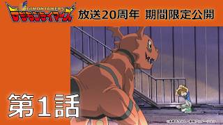 動画サムネイル