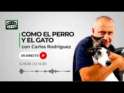 Como el Perro y el Gato 11/02/2024