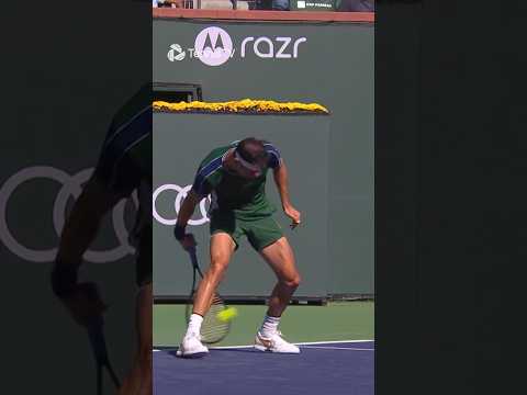 Dimitrov Hits Front-Facing Tweener vs Medvedev 🌭