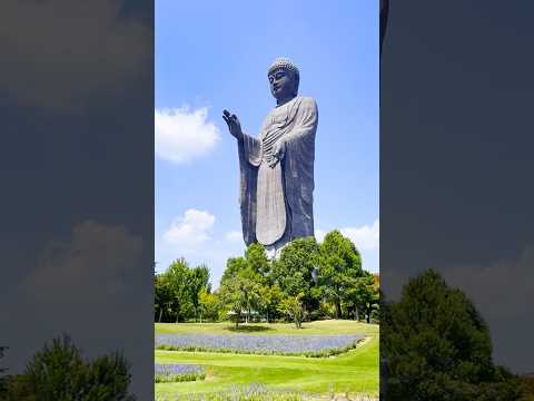 thumbnail_E2e11LUiIGY