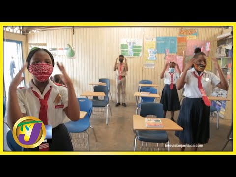PIOJ Survey Highlights Education Crisis in Jamaica | TVJ News - August 11 2021
