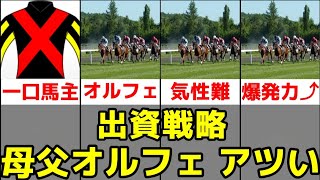 【出資戦略】母父オルフェーヴルを狙え!?【一口馬主】