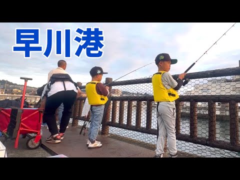 早川港で狙う 冬のカワハギ釣り🎣