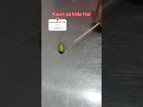 क्या आप जानते हैं ये कौन सा कीड़ा है? 🤔🪲 #shorts #trending #viral #minivlog #ashortaday