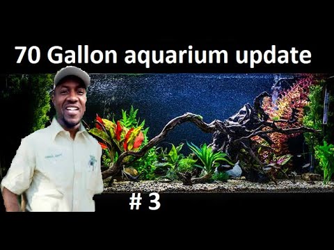 CHANGING AQUARIUM WATER AND ADDING NEW FISH || STO 70 Gallon glass aquarium build

About 14 months ago, i built this 73 gallon aquarium for a client. I