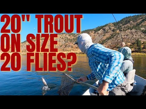 Fly Fishing Fails? Getting Owned By Pigs on the Missouri (Or The Guide Sucks) - MT 2020 Trip Part 4