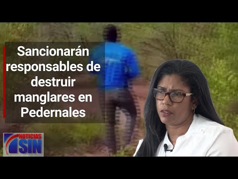 Sancionarán responsables de destruir manglares en Pedernales