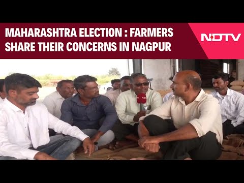Maharashtra Elections | NDTV On Maharashtra Poll Trail: What Vidarbha Farmers Want?