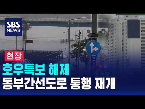 [현장] 호우특보 해제..동부간선도로 통행 재개 / SBS 뉴스
