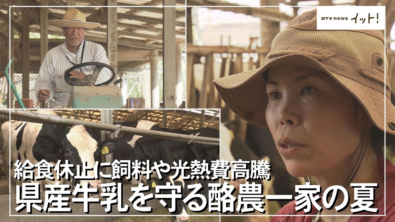School Lunch Suspension and Rising Costs Hit Okinawa Dairy Farm
