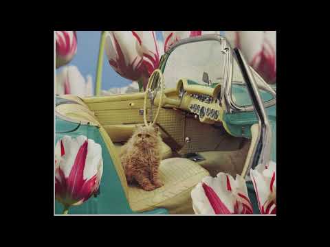 Shac Rivers - 07   SOZ Snippet