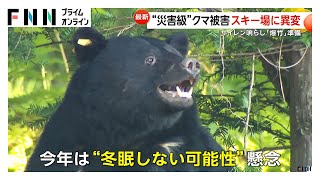 Japan's Ski Resorts Take Precautions Against Bears