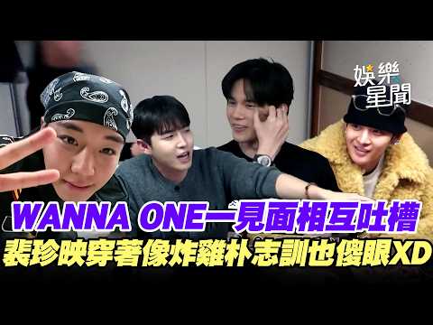 WANNA ONE時隔7年合體！一見面相互吐槽火力全開 裴珍映穿著遭笑「像炸雞」連朴志訓都傻眼XD  (워너원)｜三立娛樂星聞