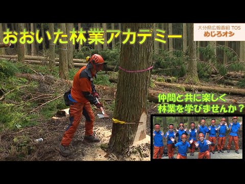 【O!TAめじろオシ】250906 おおいた林業アカデミー【大分県】