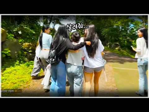 괴롭히지 마세요ㅠㅠ
