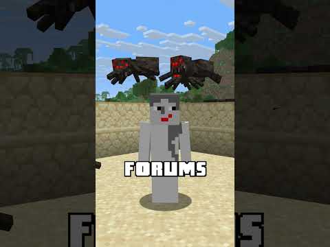 The Best Minecraft Wall