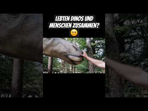 Lebten Menschen und Dinos zur gleichen Zeit?⚠️ #shorts #history #mystery #rätsel #unexplained #fyp