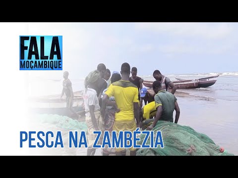 Zambézia projecta capturar 106 mil toneladas de pescado diverso @PortalFM24