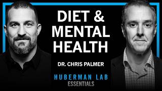 Thumbnail for the video "Essentials: Diet & Nutrition for Mental Health | Dr. Chris Palmer" from Andrew Huberman