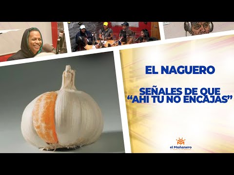 Señales de que "AHÍ TU NO ENCAJAS" - El Naguero