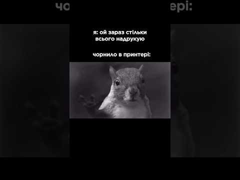Кому знайомо, з вас лайк 🫶 #принтер #друк
