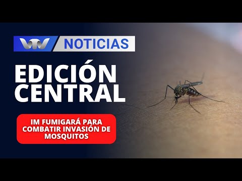 Edición Central 23/02 | IM fumigará para combatir invasión de mosquitos