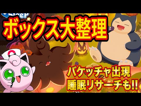 【誕生日記念】人生初のボックス整理！課金200万円分のポケモンから最強の掘り出し物を見つけ出す！※終了次第サプライズバケッチャ睡眠リサーチ【ポケスリ】【ポケモンスリープ】