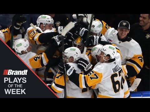 Nedeljkovic Mobbed By Penguins Mates After Sniping Rare Goalie Goal | NHL Plays Of The Week