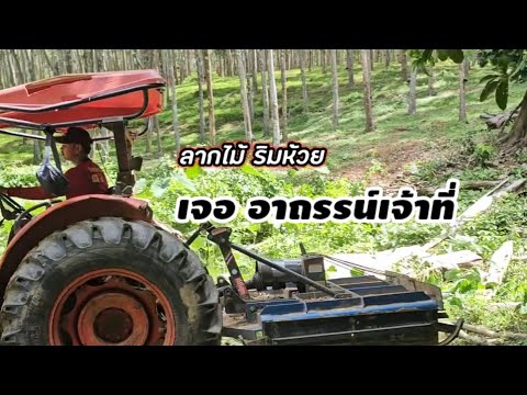 ลากไม้ริมห้วยเจออาถรรน์เจ้าที