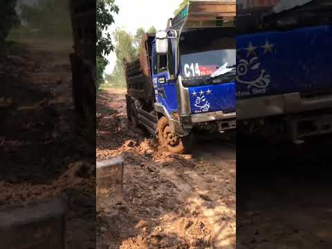 No problem 😁#shorts #amazing #best #viralvideo #driver