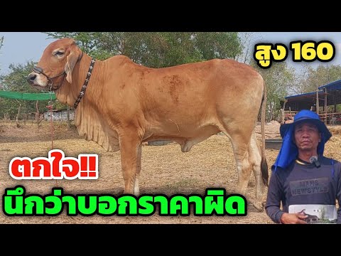 ถูกจนตกใจ‼️นึกว่าบอกราคาผิดแบ