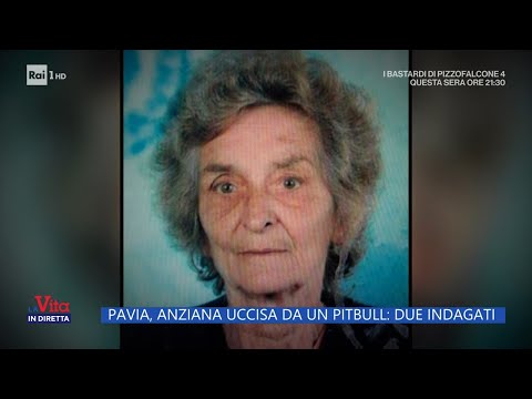 Pavia, anziana uccisa da un pitbull: due indagati - La Vita in diretta - 23/10/2023