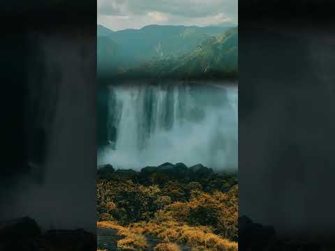 Why Kerala is the Most Beautiful Place on Earth