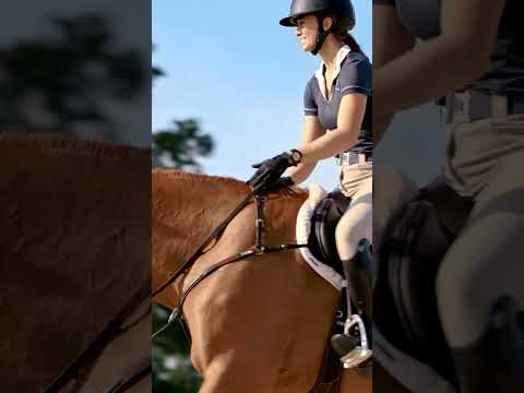 Garmin | Blaze™ | Système de bien-être équin