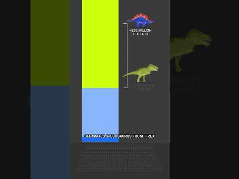 How Long Did Dinosaurs Live?