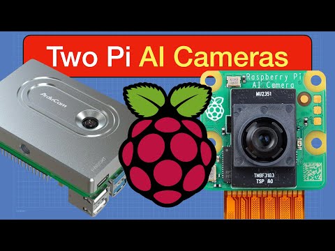 Two Raspberry Pi AI Cameras