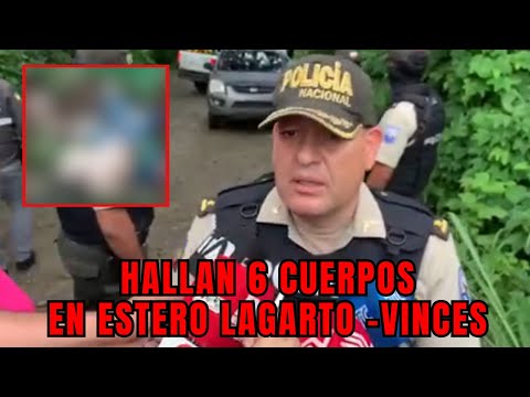 Seis cuerpos fueron encontrados en Estero Lagarto del cantón Vinces