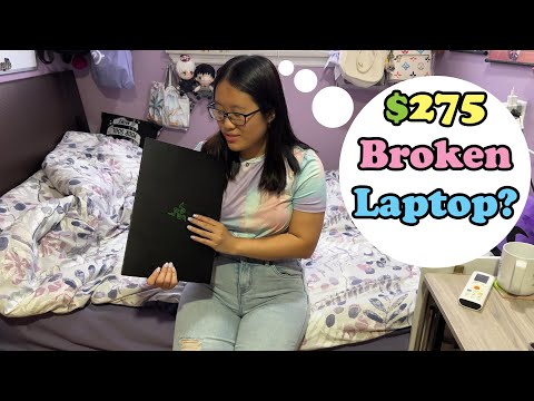 My Girlfriend roasted me for buying a BROKEN Razer Blade Laptop for $275... Can I fix it?