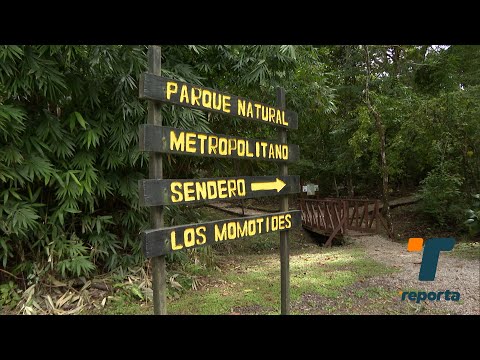 Parque Natural Metropolitano ofrece experiencias únicas en la urbe capitalina