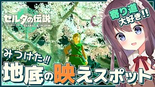 【ティアキン】自由な世界で寄り道大好き！初見【ゼルダの伝説ティアーズオブザキングダム 女性実況 Vtuber なちゅモカ】119