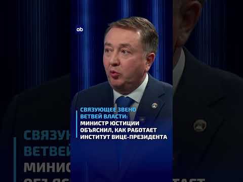 Связующее звено ветвей власти: Министр юстиции объяснил, как работает институт вице-президента