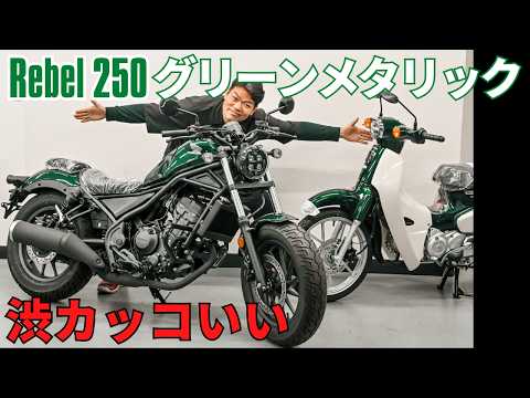 レブル250をグリーンメタリック塗装!スーパーカブ110の純正カラー流用したら渋カッコ良いバイクに大変身
