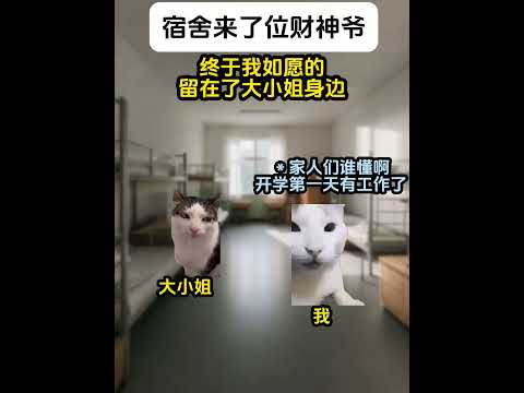 猫の動画サムネイル - 宿舍来了位财神爷#有趣 #猫meme #猫meme剧场 #内容过于真实  #故事 #貓 #猫猫meme小剧场 #喵不可言
