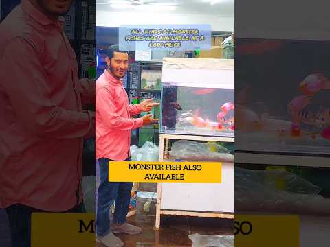 Wholesale and Retail Aquarium Shop in Tannery Road 