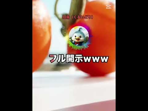 今日はこれでいいや笑