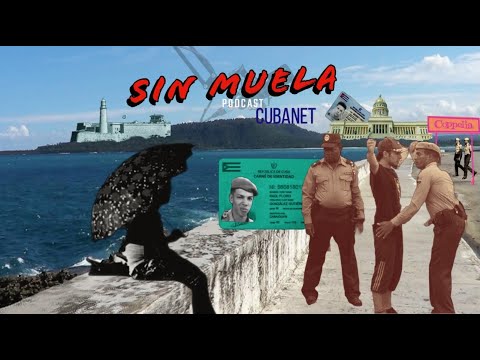 Ser de provincia y vivir en La Habana: otro viacrucis. Nuevo episodio de Sin Muela, nuestro podcast
