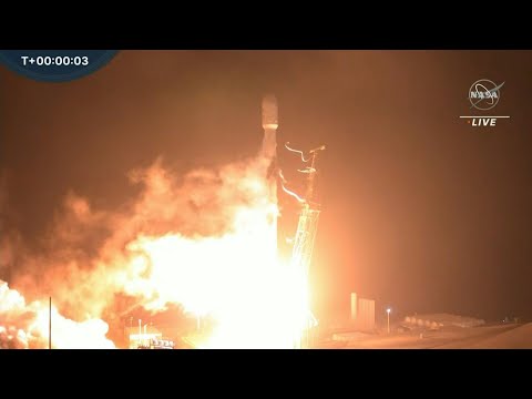 La mission de la Nasa pour dévier un astéroïde décolle à bord de Falcon 9 | AFP Images