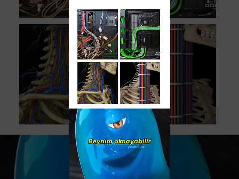 İnsanlar üzerinde küçük bir düzenleme 😄